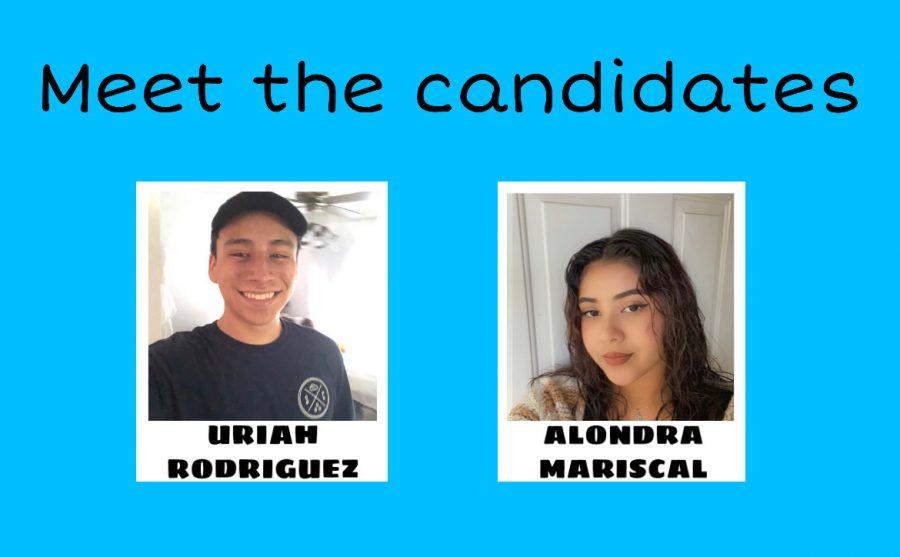 The+candidate+running+for+the+position+of+ASB+treasurer+is+Uriah+Rodriguez+and+the+candidate+running+for+the+position+of+class+president+is+Alondra+Mariscal.+Uriah+is+a+member+of+the+National+Honors+Society%2C+MESA%2C+ASB%2C+boys+volleyball%2C+and+Interact+club.+Alondra+is+a+member+of+MESA%2C+leadership%2C+and+is+currently+attending+a+program+offered+by+the+California+State+University%2C+Los+Angeles.