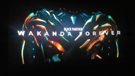 Wakanda Forever Review: NO SPOILERS