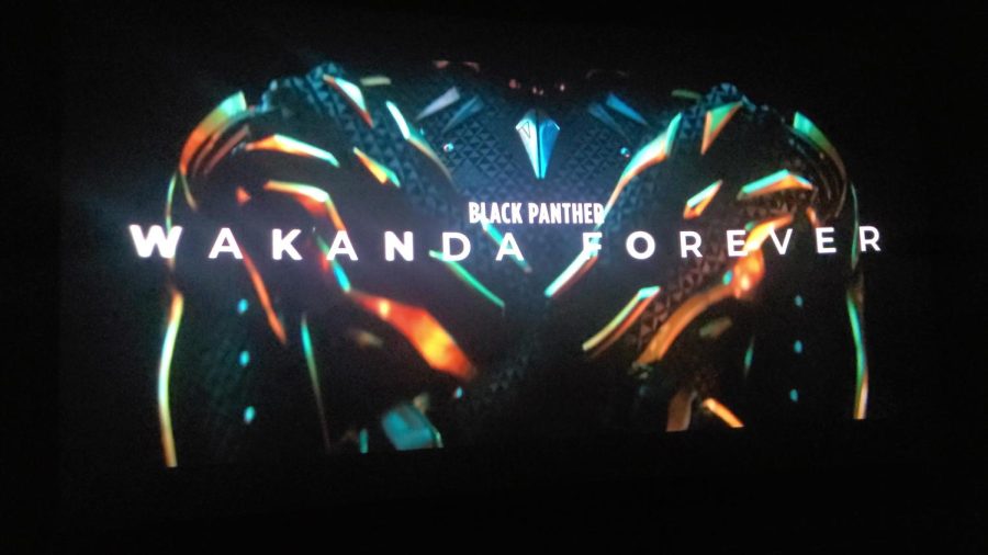 Wakanda+Forever+Review%3A+NO+SPOILERS