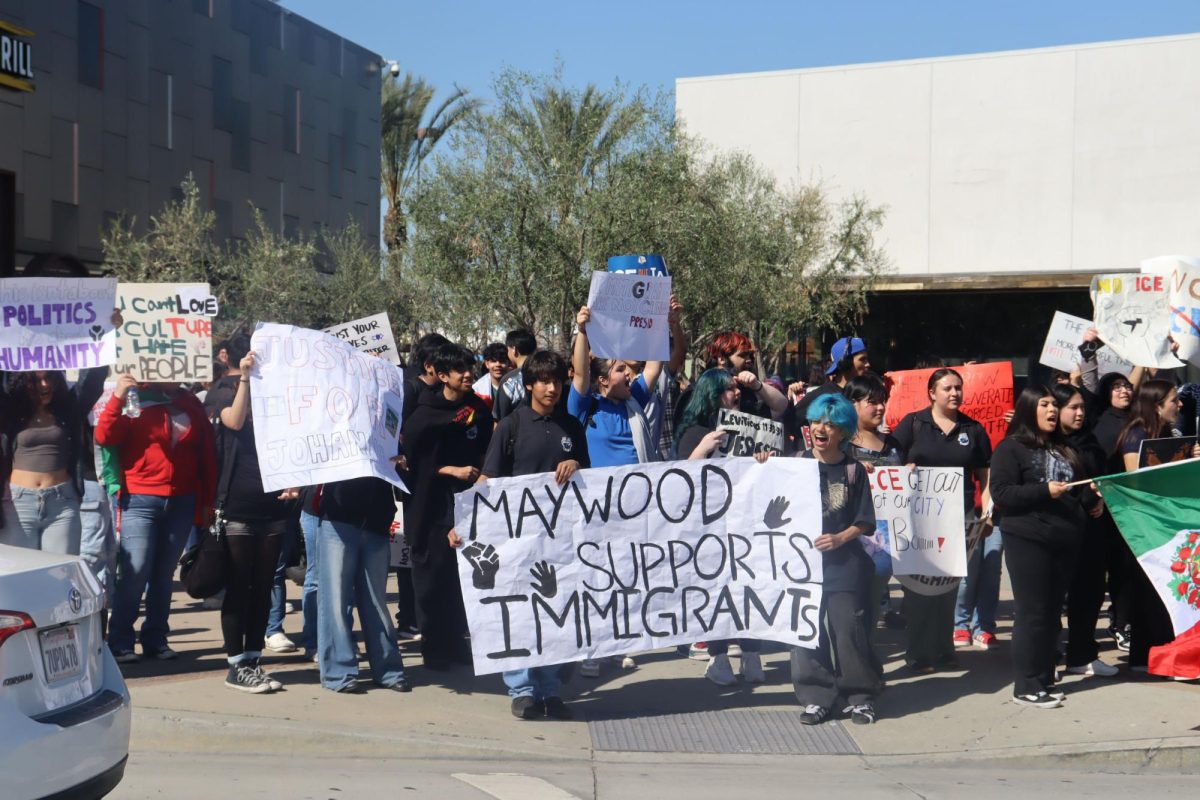 Why We Walkout